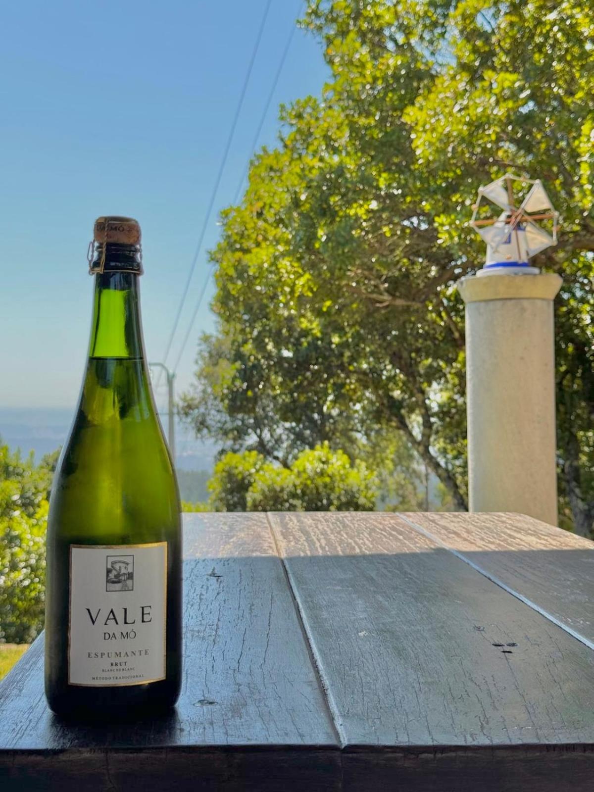 O Moinho De Vale Da Mo Villa Anadia Exteriör bild